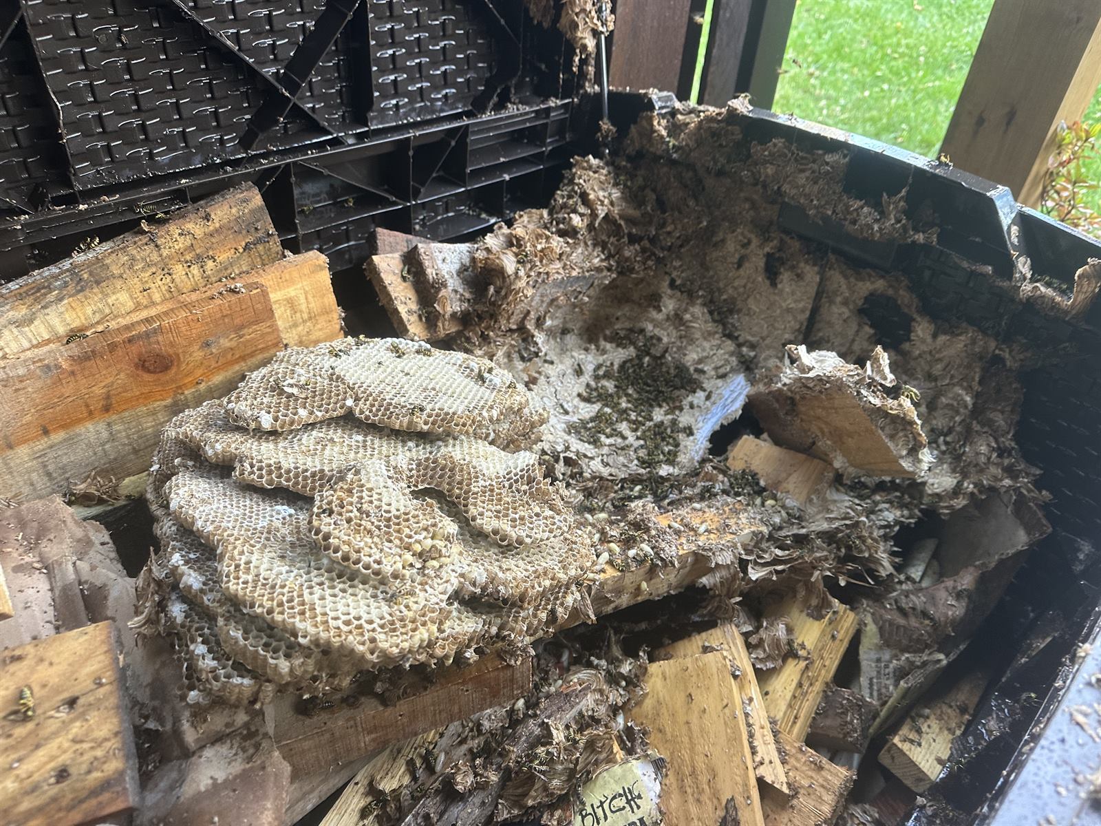 Active yellow jacket nest being treated by a licensed PA pesticide applicator at a Harrisburg, PA home